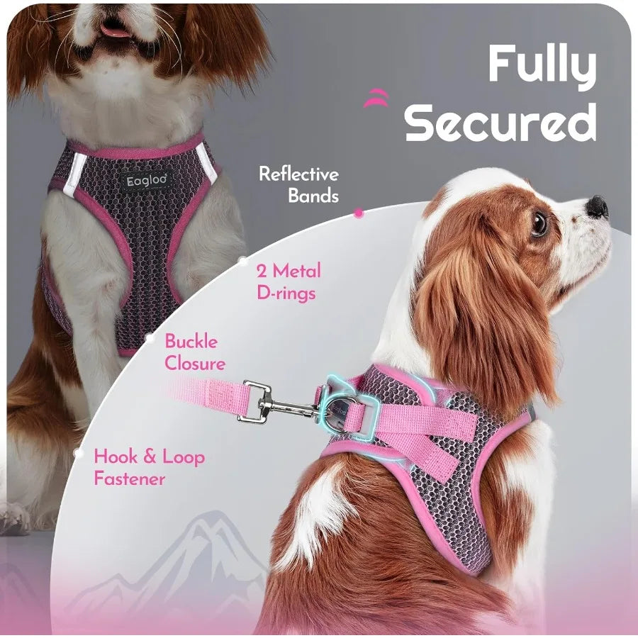 Small Dog Harness and Leash Set Step in Puppy Vest with Breathable Soft Mesh Walking Reflective Pet Harness for Small Dogs Pink