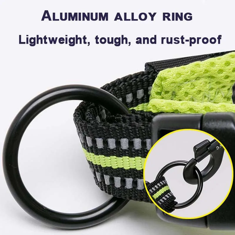Dog Walking Collar Comfort Padded with Buckle Nylon Traveling Collar Tactical Dog Suplpies 11 Colors Size XXS-XXXL
