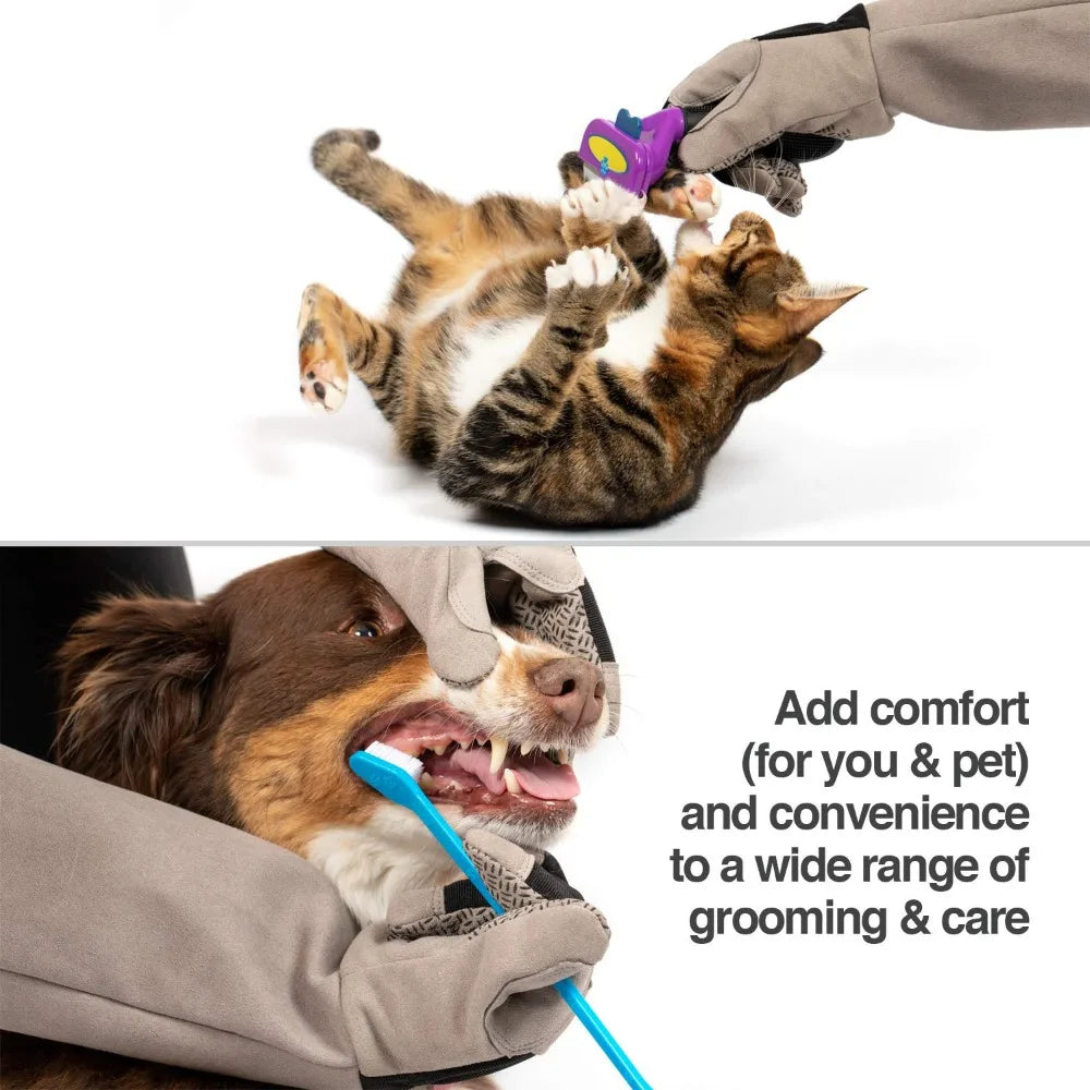Multipurpose Pet Grooming Gloves Great for Trips to Vet and Bathing, Puncture, Scratch & Water Resistant