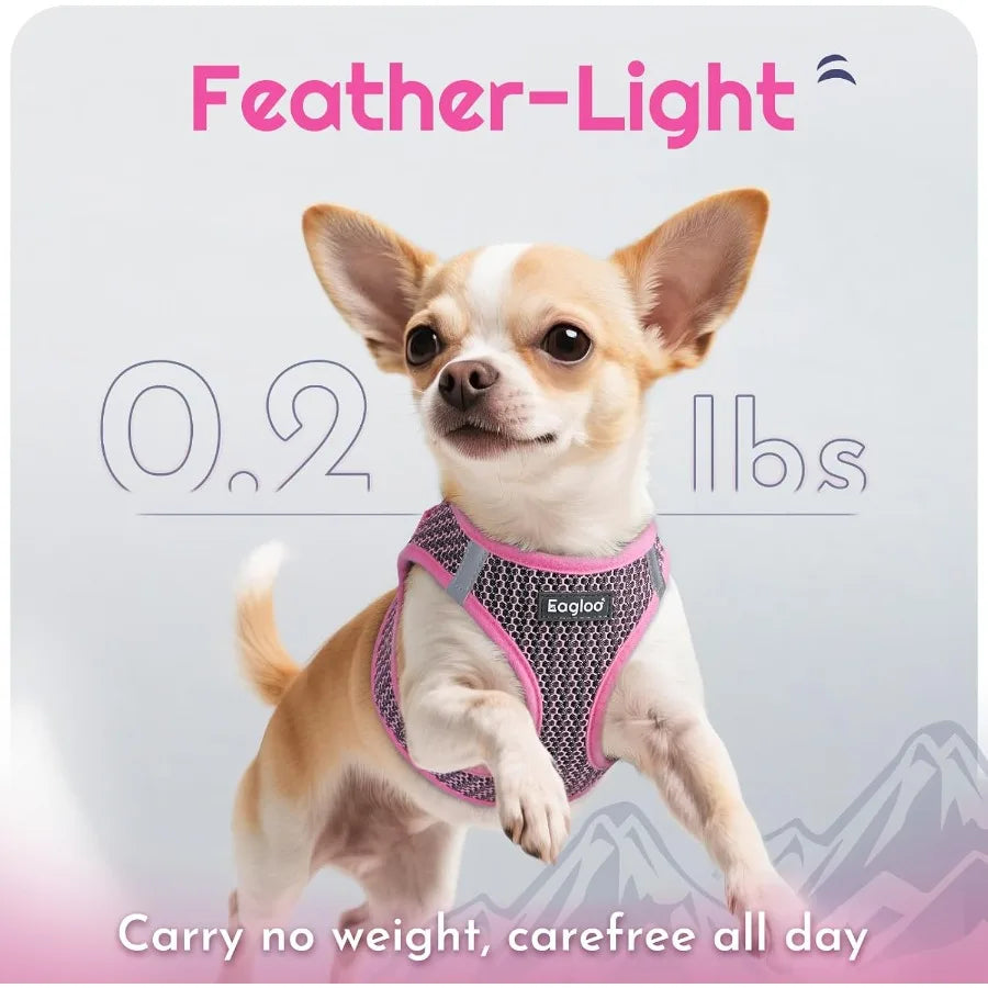 Small Dog Harness and Leash Set Step in Puppy Vest with Breathable Soft Mesh Walking Reflective Pet Harness for Small Dogs Pink