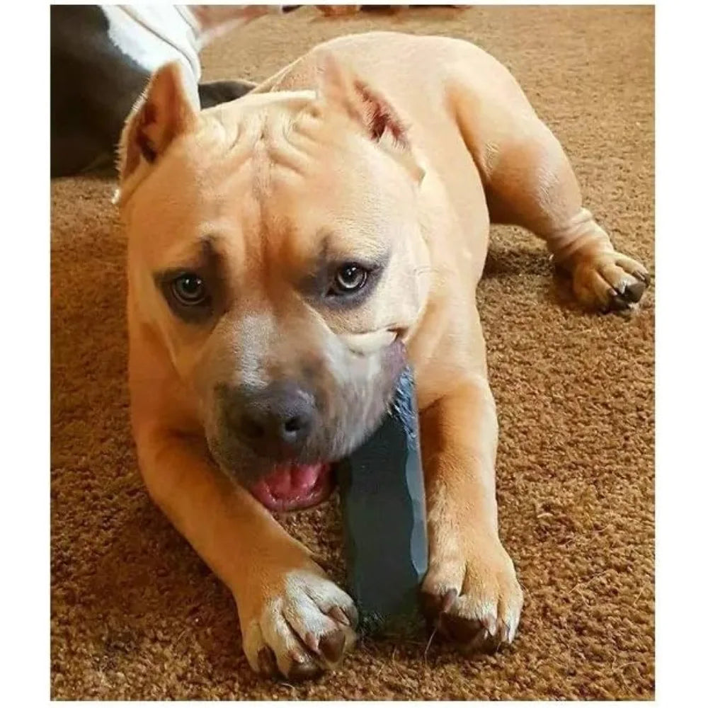 Professional Dog Chew Toy - Dogs 30-50 lbs - XL Size - Virtually Indestructible