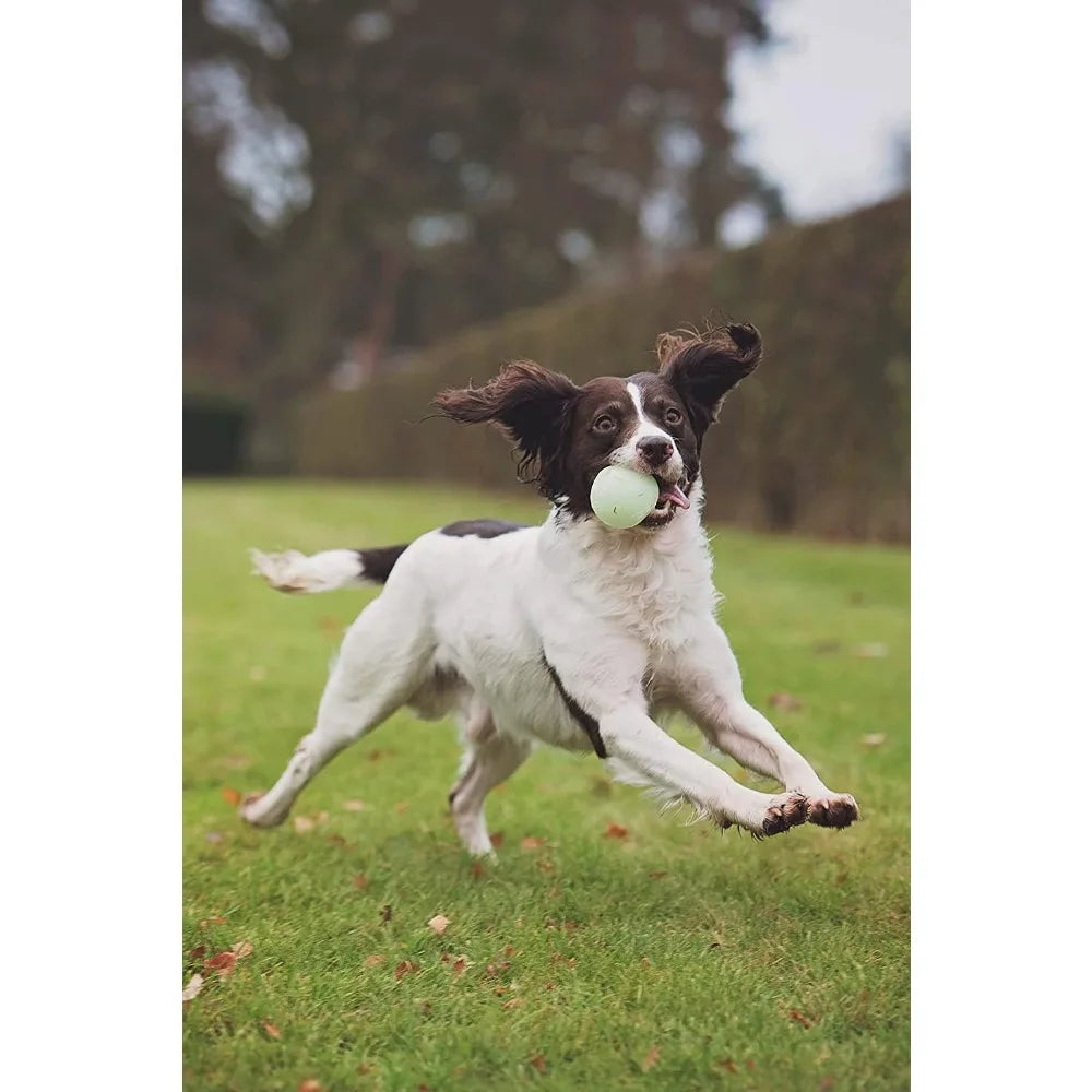 Chuckit! Max Glow Ball Dog Toy