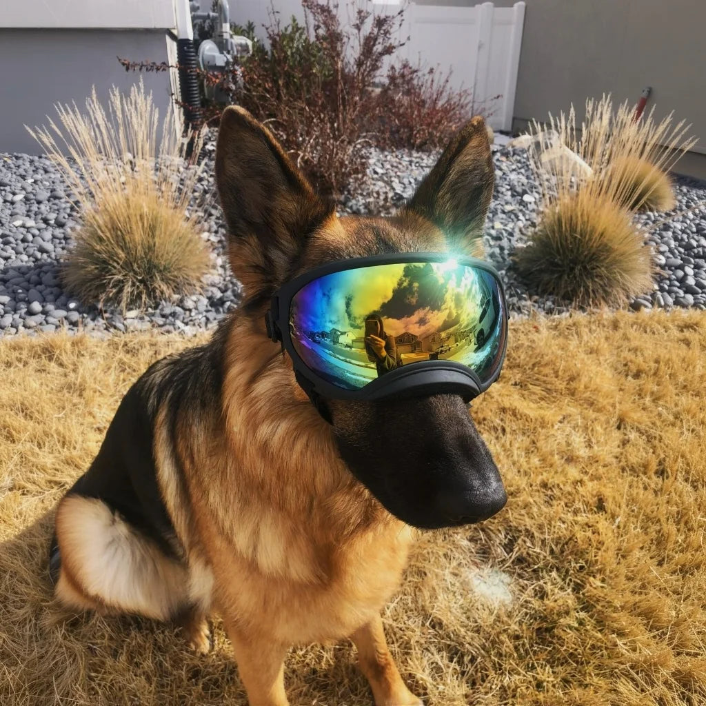 Dog Sunglasses Dog Goggles UV Protection Pet Glasses Eyewear with Adjustable Strap,Glasses for Dog Skating Glasses Dustproof