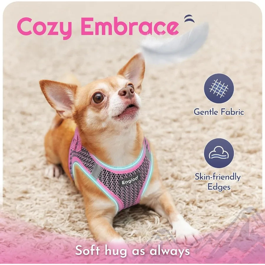 Small Dog Harness and Leash Set Step in Puppy Vest with Breathable Soft Mesh Walking Reflective Pet Harness for Small Dogs Pink