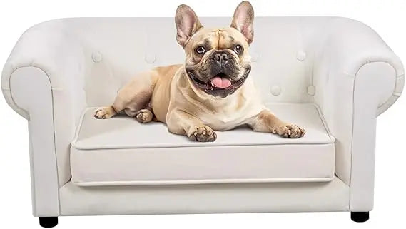 elevated dog bed with cushion for small to medium pets, removable cover and anti-slip base