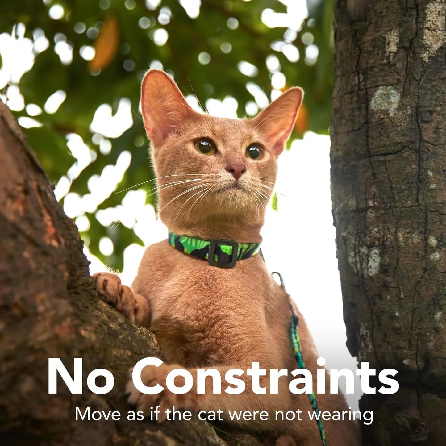 Cat Harness & Leash Set - Escape-Proof, Adjustable, Lightweight, Safe & Easy Walk, All Sizes (Green)