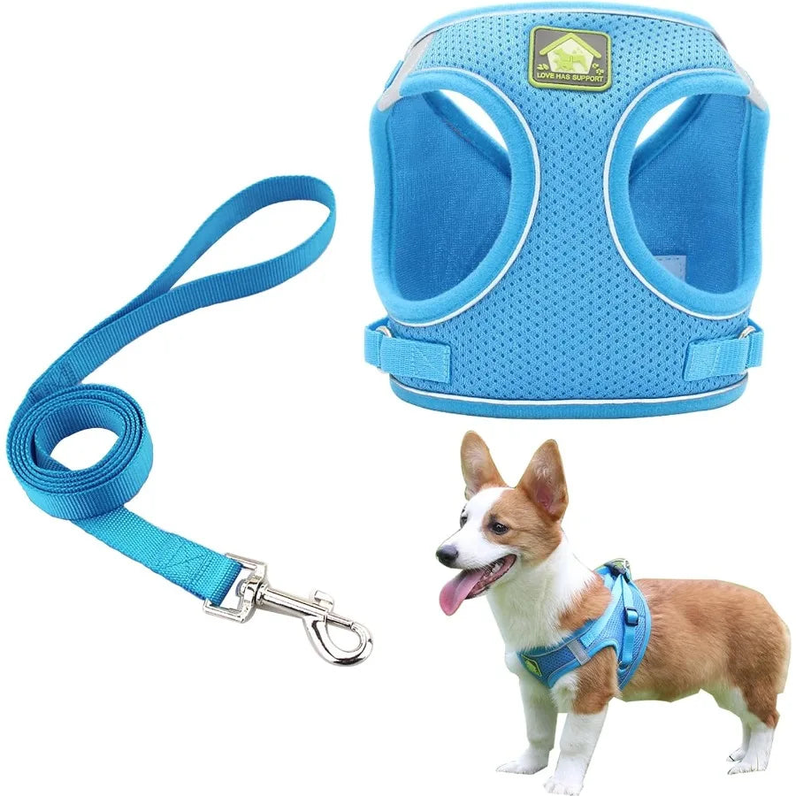 Soft Small Dog Harness and Leash Set Step in Air Mesh Puppy Harness Leash Reflective Adjustable Puppy Vest for Small Dogs Cats.