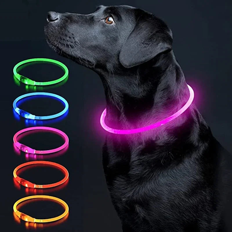 USB Charging Necklace Led Luminous Dog Collar Light , Flashing DIY Glowing Safety Anti Lost Cat Dogs Collar Accessories Supplies