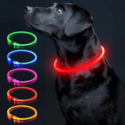 USB Charging Necklace Led Luminous Dog Collar Light , Flashing DIY Glowing Safety Anti Lost Cat Dogs Collar Accessories Supplies