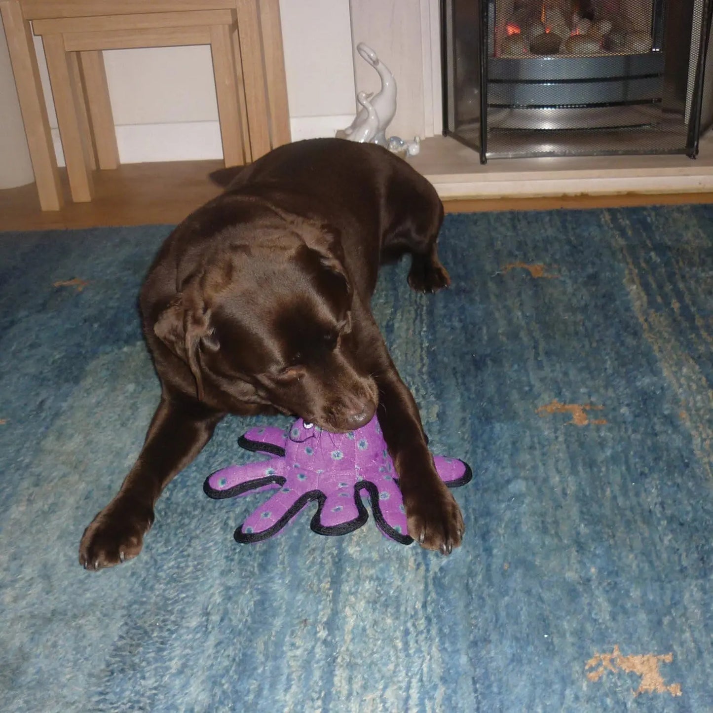 World's Tuffest Soft Dog Toy- Zoo Elephant -Multiple Layers. Made Durable, Strong & Tough. Interactive Play (Tug, Toss &