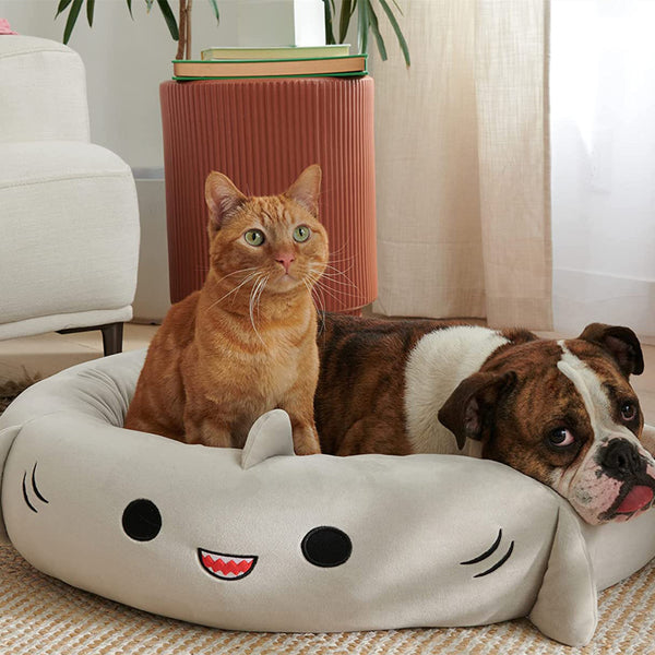 Happy pet